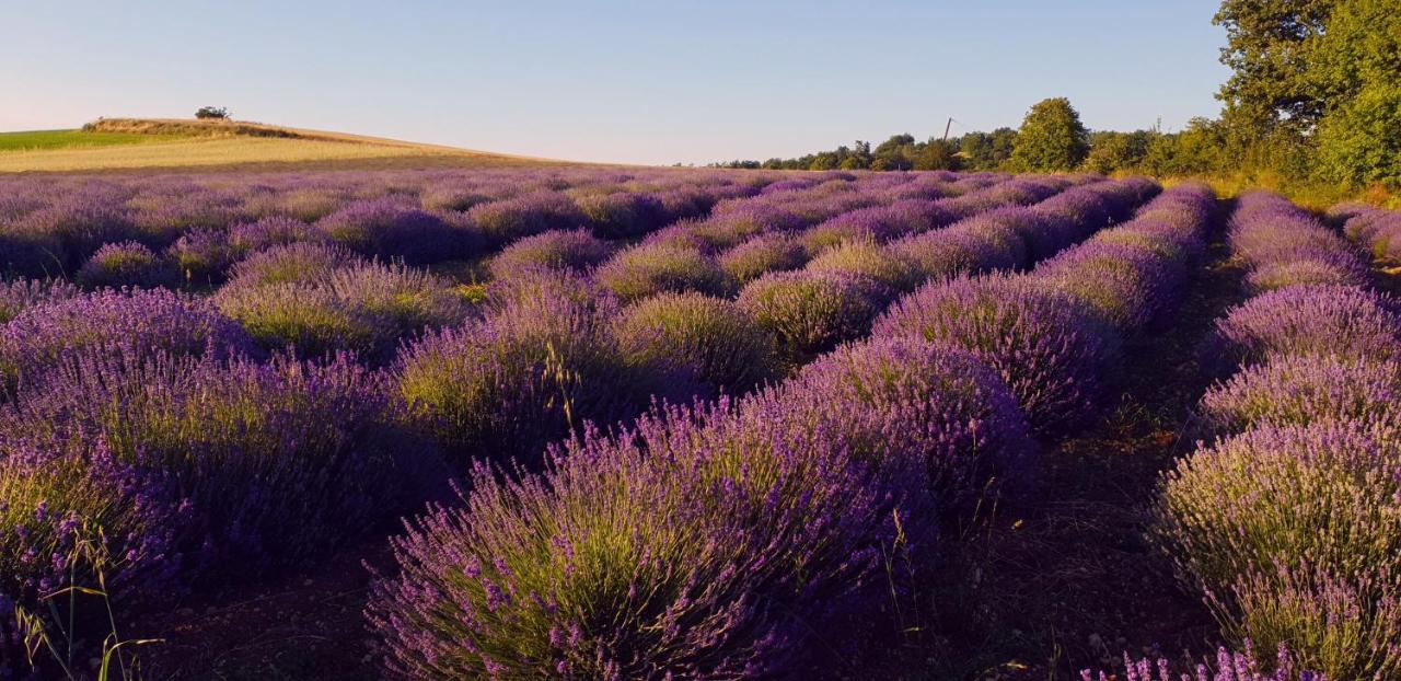 Вилла Manoir Le Bourg, Touffailles Экстерьер фото