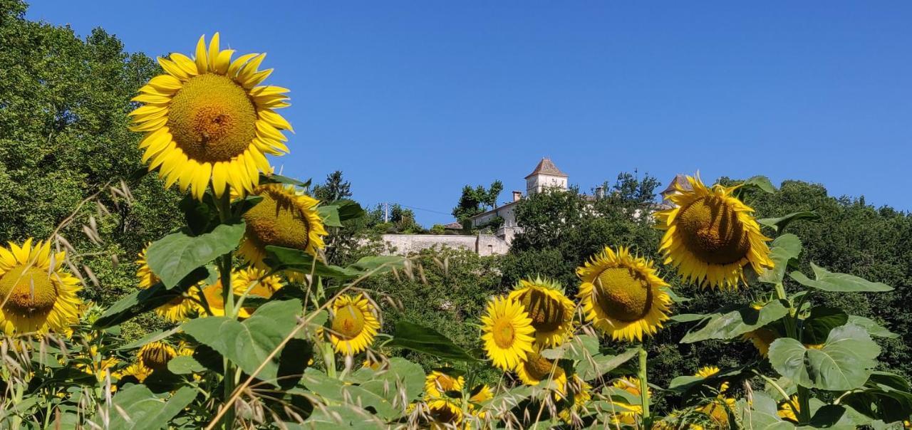 Вилла Manoir Le Bourg, Touffailles Экстерьер фото